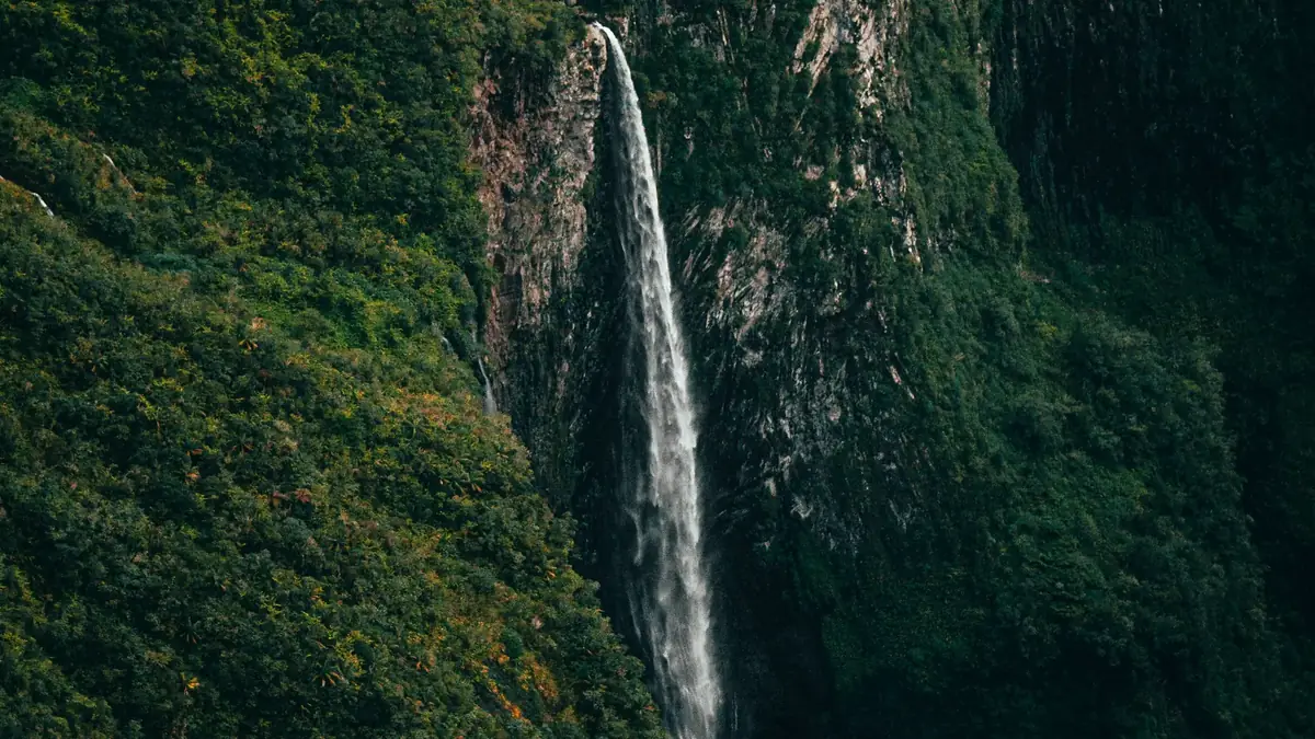 Cascade dans la forêt tropicale, La Réunion